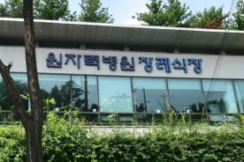 원자력병원 장례식장에서 일산자연애숲수목장으로 아버님을 모신 후기